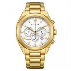 citizen CA4592-85A