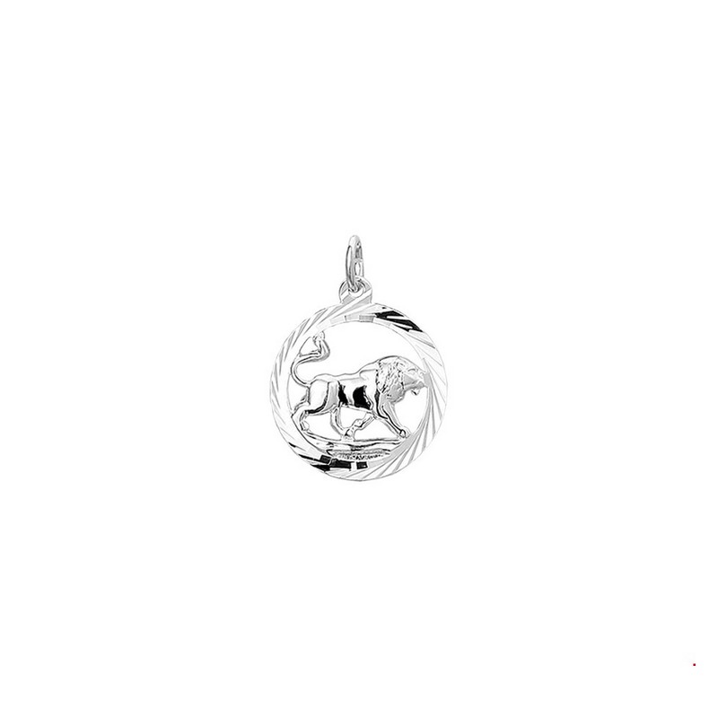HUISCOLLECTIE 311268314993