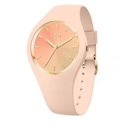 icewatch IW020638